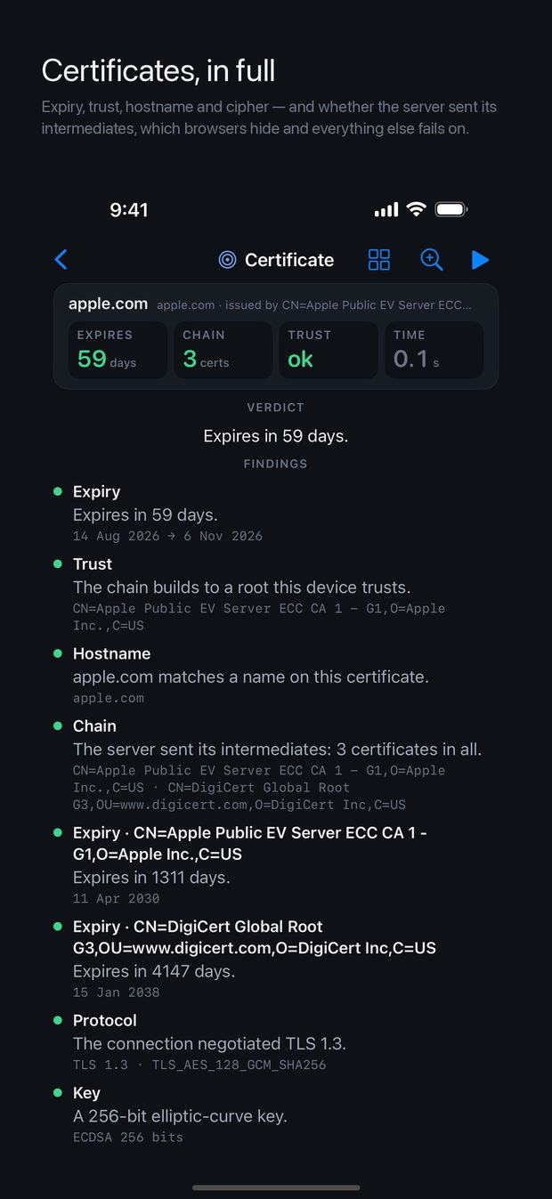 A certificate check showing expiry, trust, chain and cipher