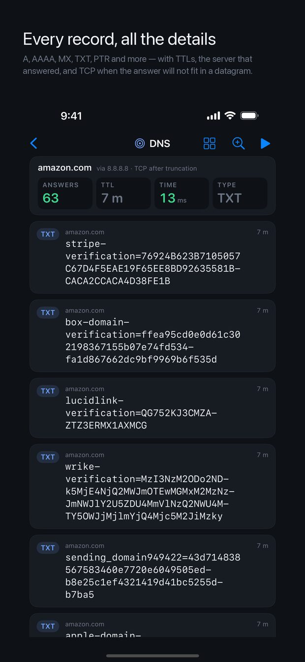 A DNS lookup returning sixty-three TXT records